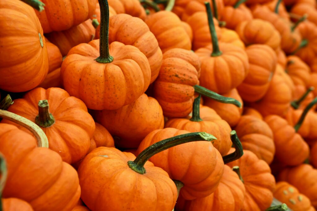 Orange pumpkins