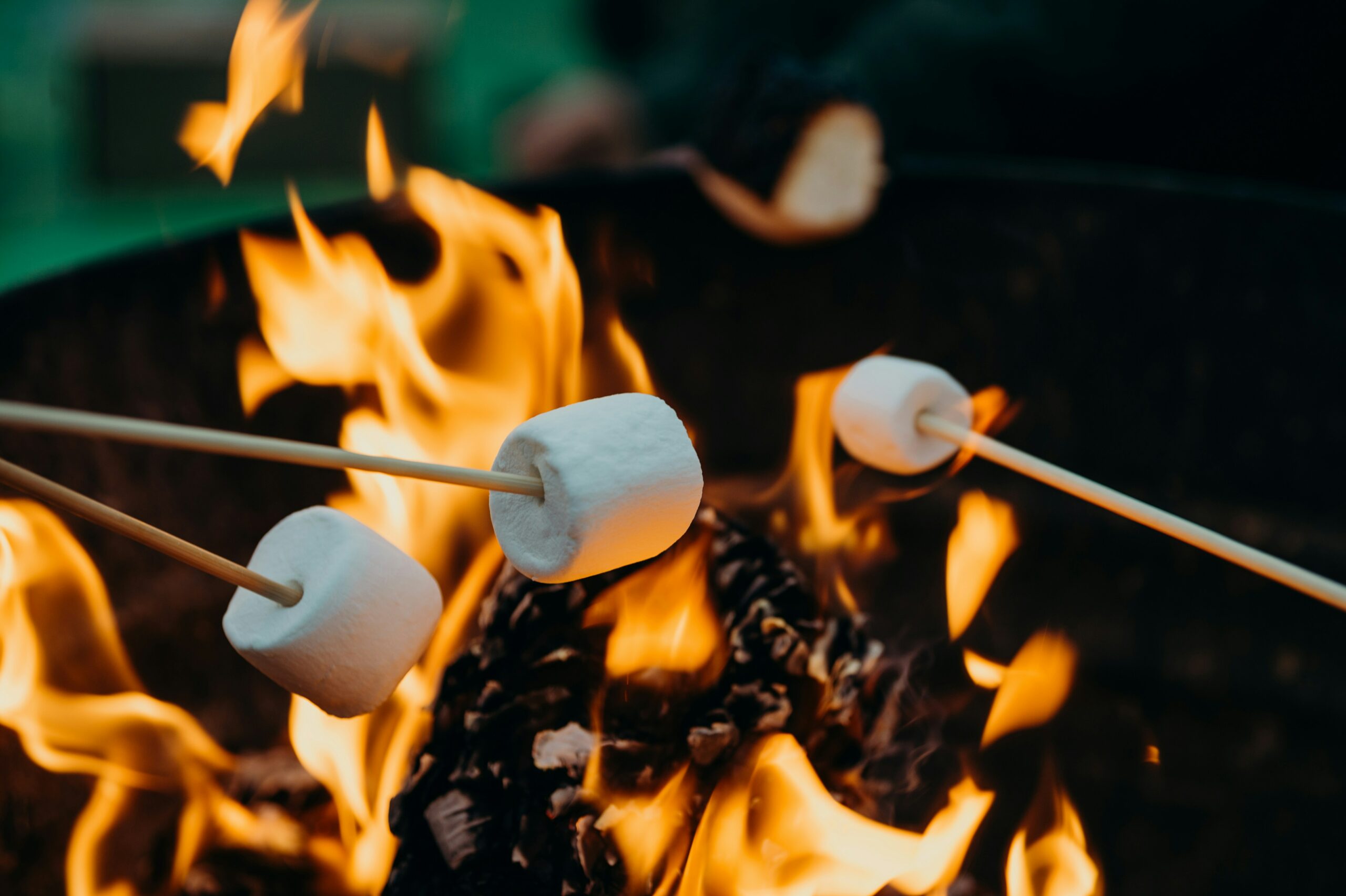 Marshmallows being roasted on a fire